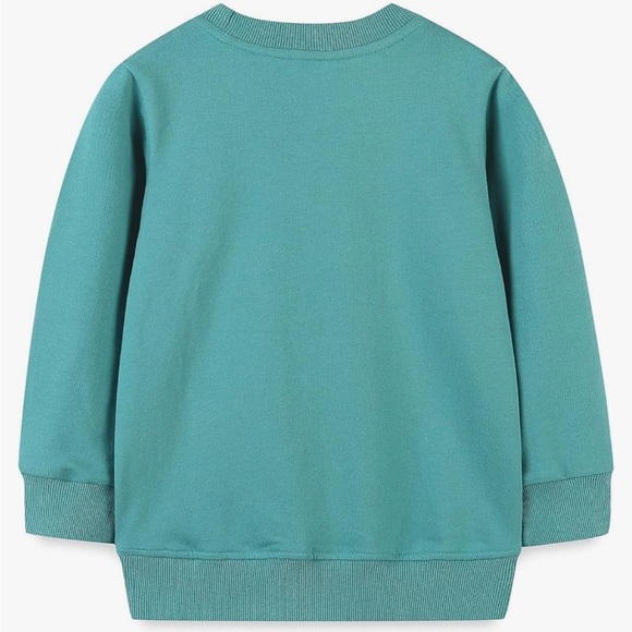 Awesome Toddler Boy Sweatshirt Cotton Pullover Long Sleeve Sweater Shirt NWT - Picture 2 of 8